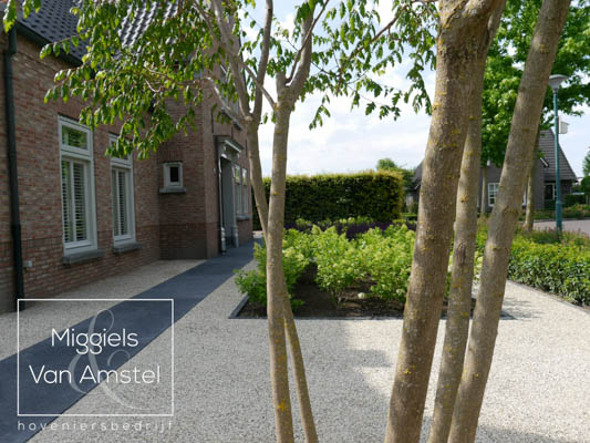 Rechtsaf Verleden een beetje Tuinvoorbeelden – Hoveniersbedrijf Miggiels – Van Amstel